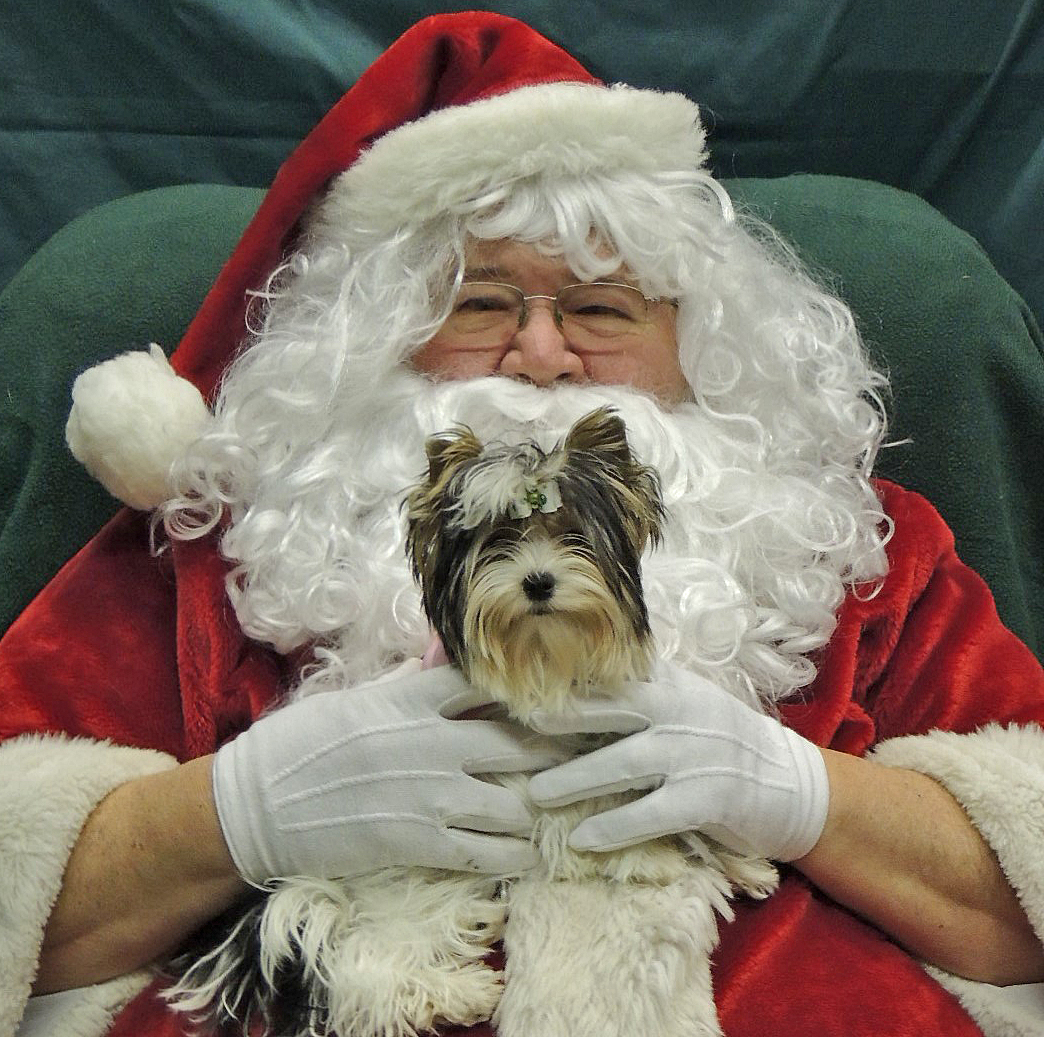 Santa (Ed) with Ellie de Grace, a Biewer Terrier